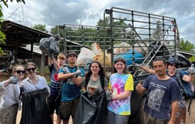 Litter picking in village