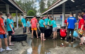 Turtle volunteering